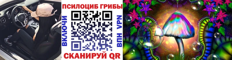 Псилоцибиновые грибы мухоморы  ОМГ ОМГ ссылка  Лениногорск  как найти закладки 
